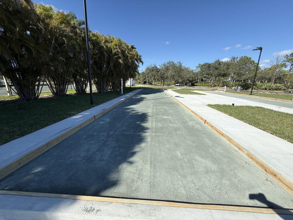 Empty concrete pathway lined with palm trees under a clear blue sky.